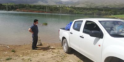  Yeniköy Gölet’ine 40 bin adet sazan yavrusu Bırakıldı.