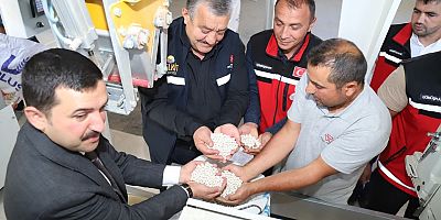 Yeşilova Köyü’nde Fasulye Hasadı Tamamlandı