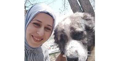 Yılmaz, ‘Çözüm öldürmek değil kısırlaştırmaktır’