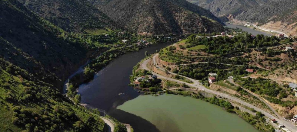 Torul Baraj Gölü’nde alg patlaması, suyun yüzeyi koyulaştı